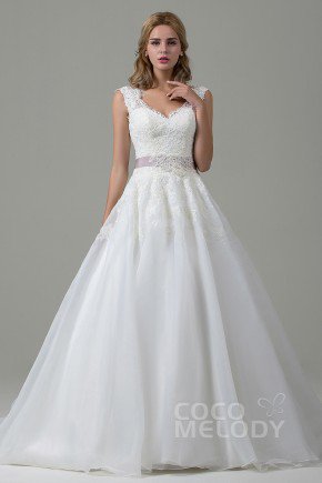Classic A-Line V-Neck Natural Train Organza Satin Ivory Sleeveless Open Back Wedding Dress with Appliques and Ribbons CWZT15007
